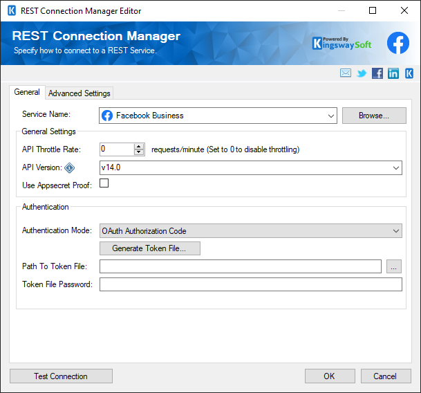 SSIS REST Facebook Business Connection Manager